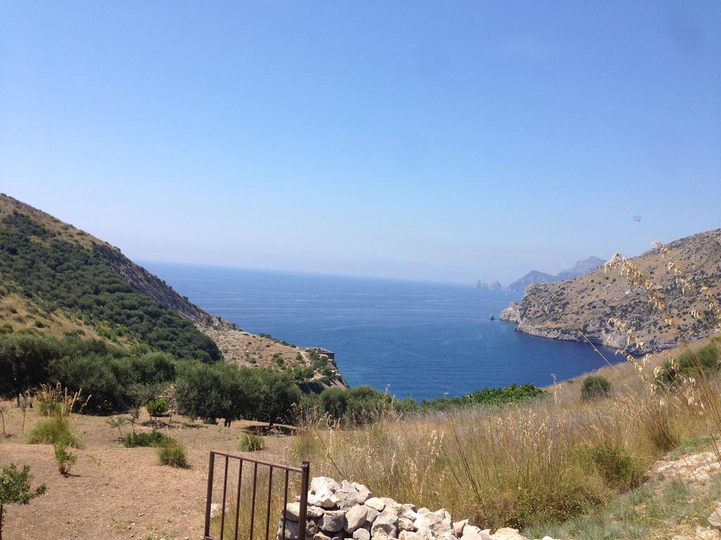 Olga'S Residence Relais Nerano Bagian luar foto